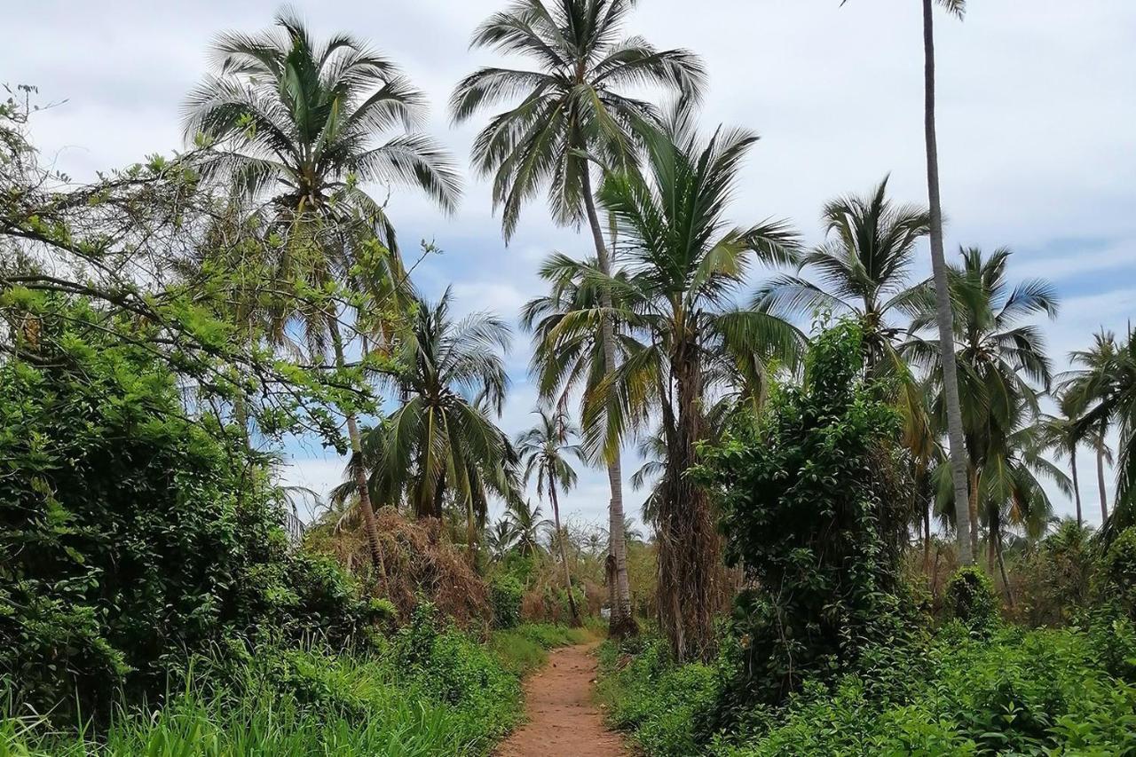 ホテル Puerto Caracol ムクラ島 エクステリア 写真